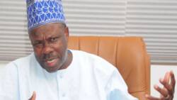 How politicians are dividing Nigeria - Governor Amosun