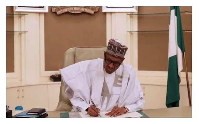 Buhari spits venom, threatens to deal with politicians with fake certificates