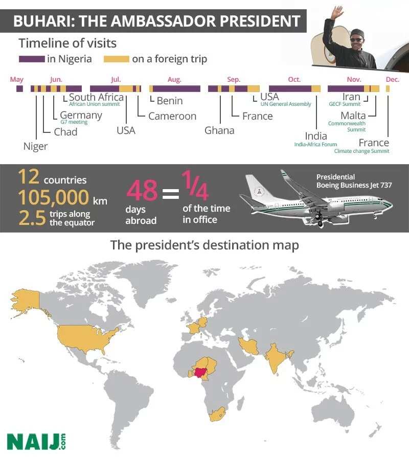How Much Does One Trip Of Buhari Cost