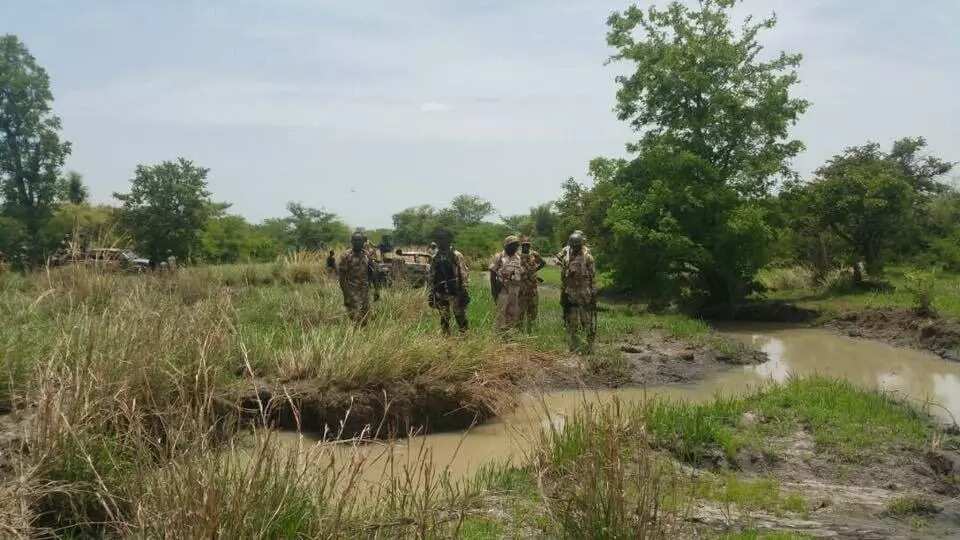 Troops arrest Boko Haram member, recovers and destroys IED