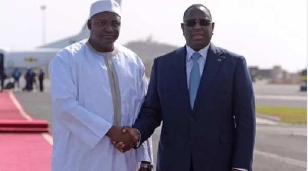 Photonews: See how President Barrow made his triumphant entry into Gambia (Photos)