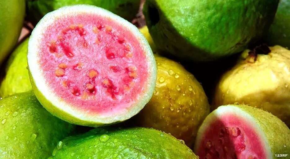 Ripe guava Ripe guava