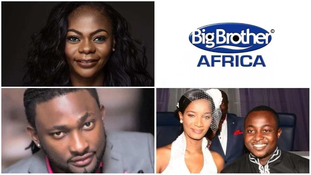 Big Brother Africa winners where are they now? Legit.ng