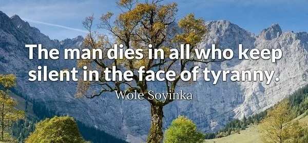 Wole Soyinka quotes on Africa