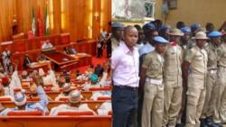 Senate certifies Dr Akoh's Peace Corps of Nigeria as the legally recognised body