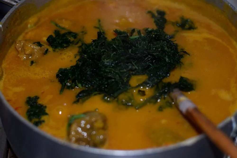 Tribes in Nigeria and their food BITTER LEAF SOUP