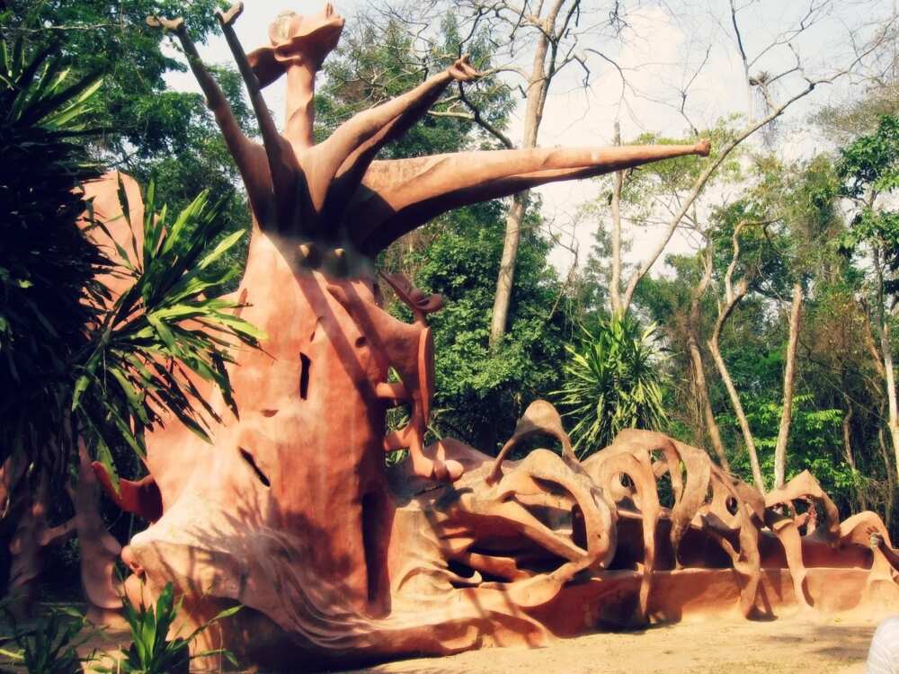 The Osun-Osogbo Grove The Osun-Osogbo Grove