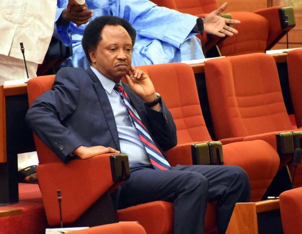 Shehu Sani: An kirkiro Sure-P, N Power don cimma bukatun siyasa ba don cigaban talaka ba