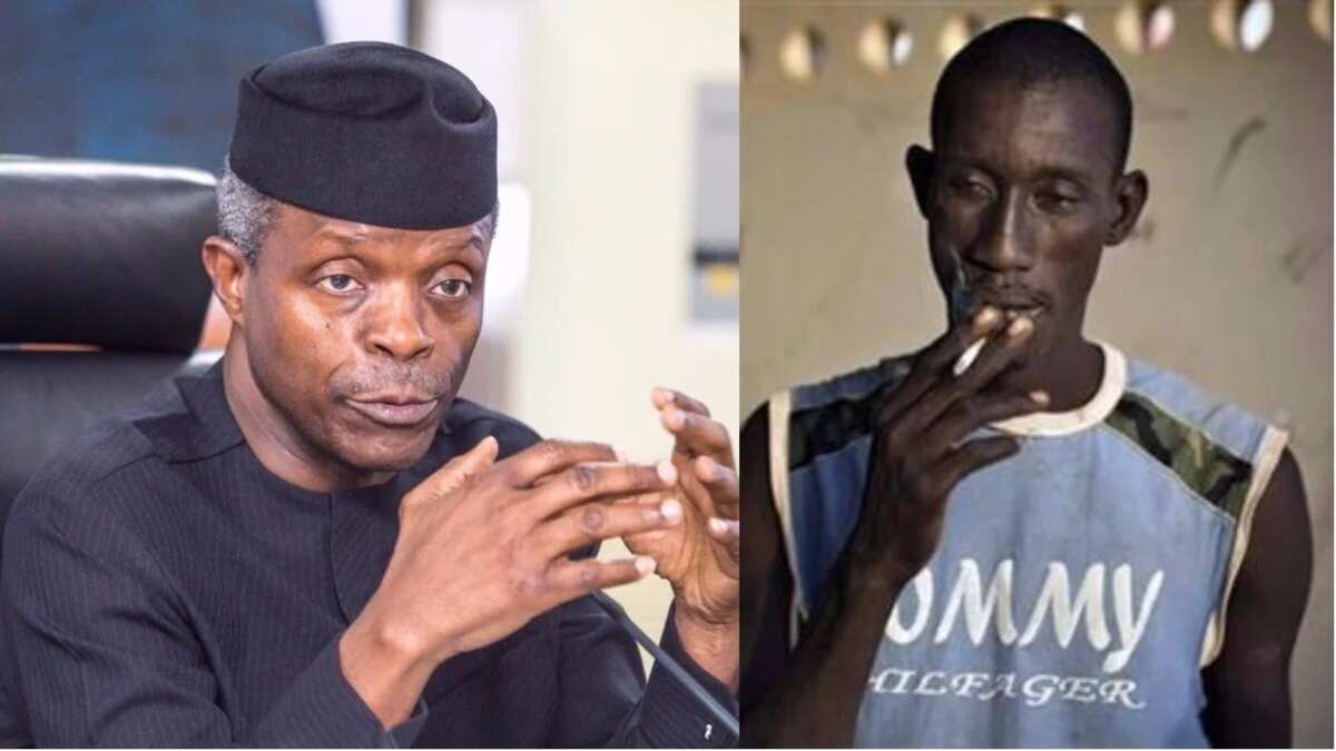 Osinbajo set to implement 9 new laws on SMOKING in Nigeria - Legit.ng