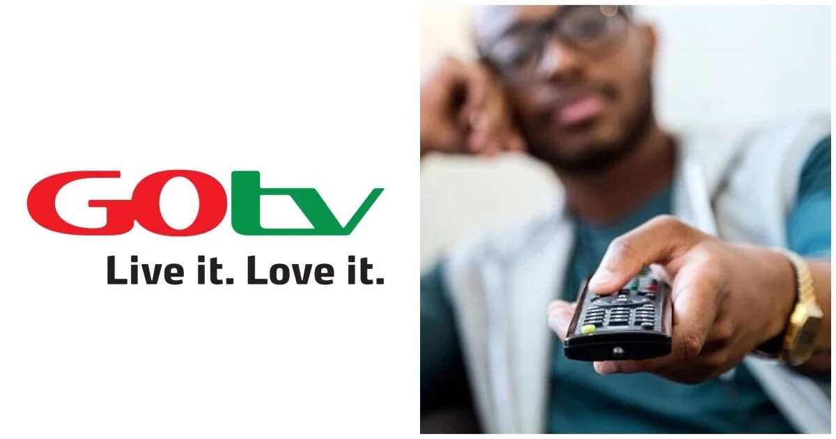 How to reset GOtv channels: 4 quick and easy ways for resetting - Legit.ng