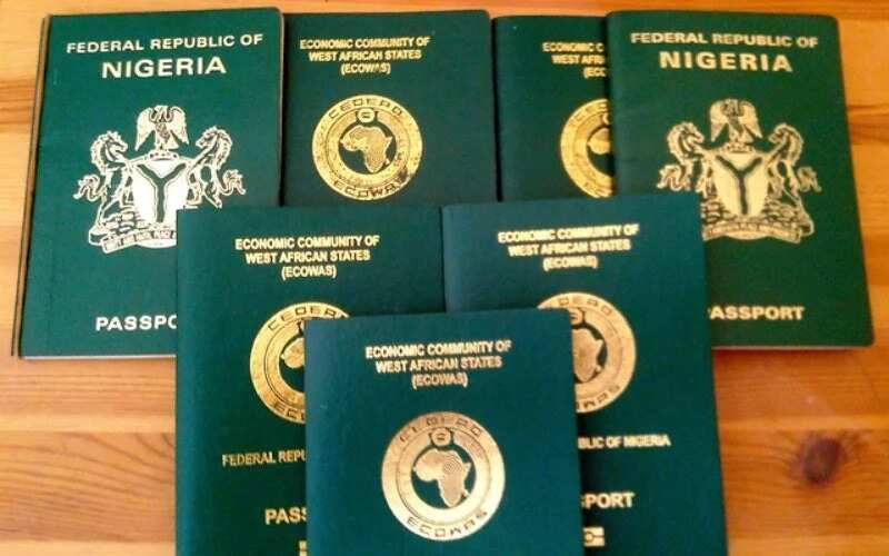 How 600 Nigerians use fake documents for Italian visa annually