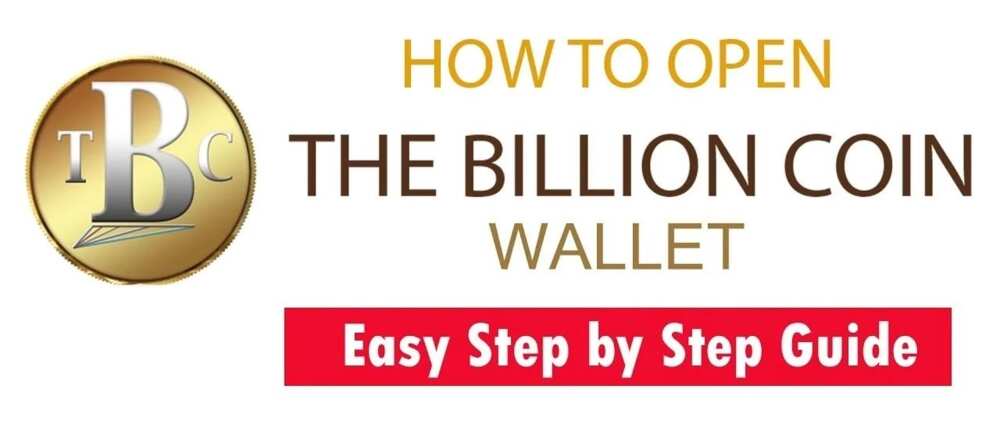 TBC wallet guide (PC) TBC wallet guide (PC)