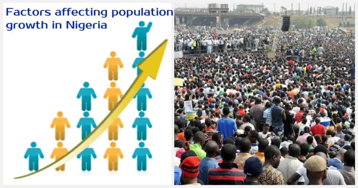 factors-affecting-population-growth-in-nigeria-legit-ng