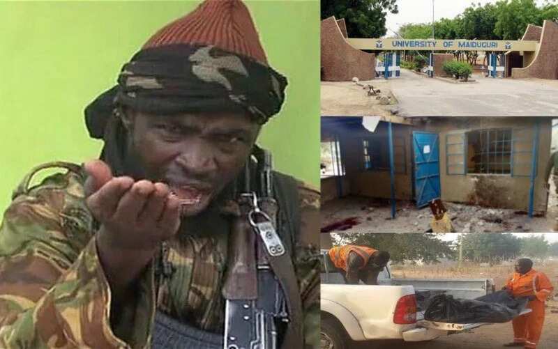 Abubuwa 10 masu zafi da Shugaban Boko Haram Shekau ya fada a sabon faifai kan harin da suka kai masallacin jami’ar Maiduguri