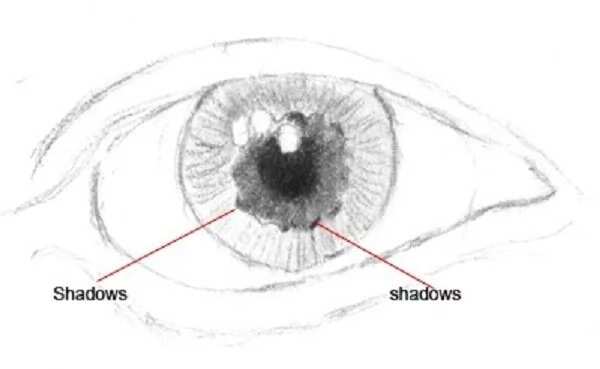 How to draw eye with pencil - Guide to a perfect picture Legit.ng