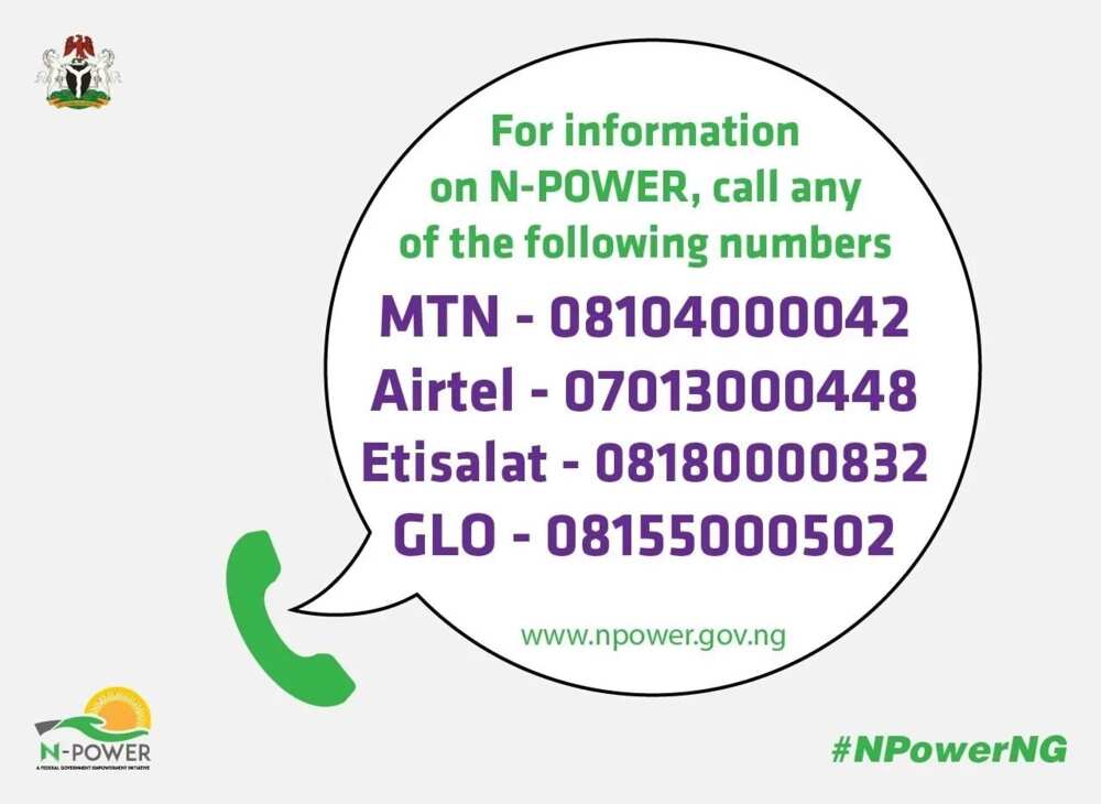 NPower contacts