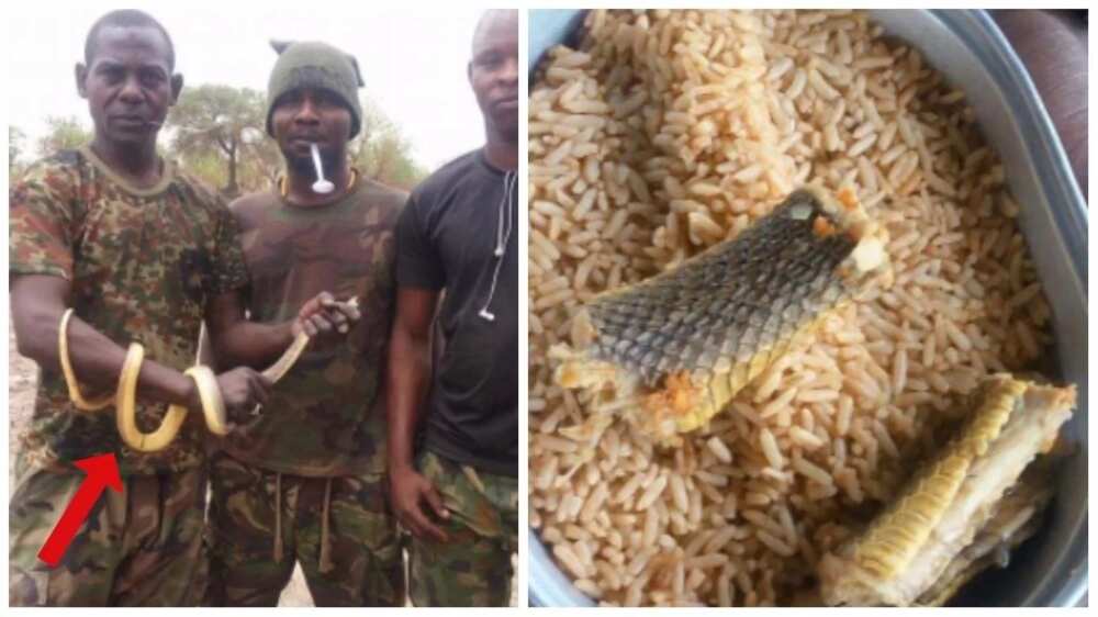 See the meal Nigerian soldiers fighting Boko Haram in Sambisa are eating (photo)