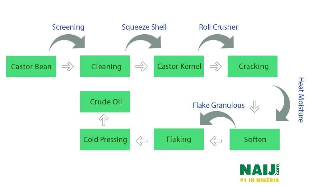 How to make castor oil