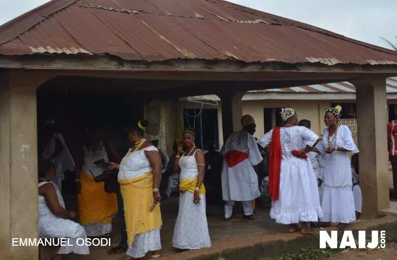 Arugba appears as Osun Osogbo Festival hots up