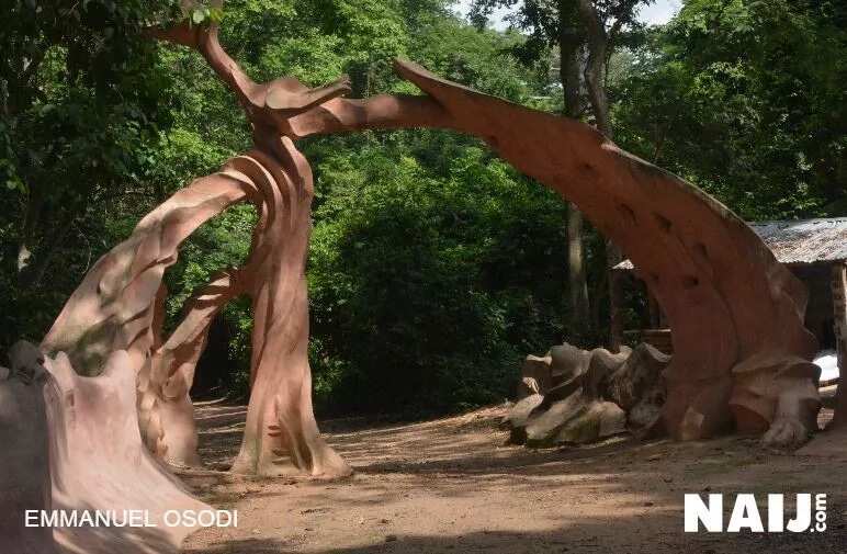 The mysteries behind Osun/Osogbo river The mysteries behind Osun/Osogbo river