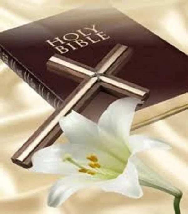 An fassara Bible cikin harshen Tera dake jihar Gombe An fassara Bible cikin harshen Tera dake jihar Gombe
