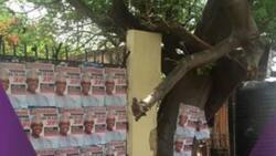Buhari for 2019 as campaign posters hit Benue (photos)