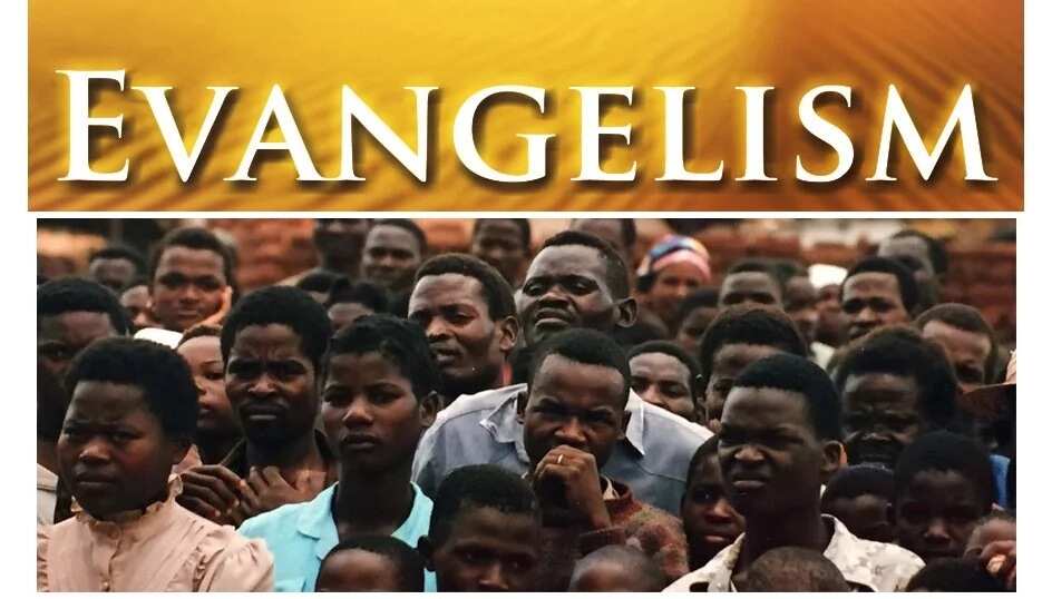 Three types of Evangelism styles that you should know about - Legit.ng