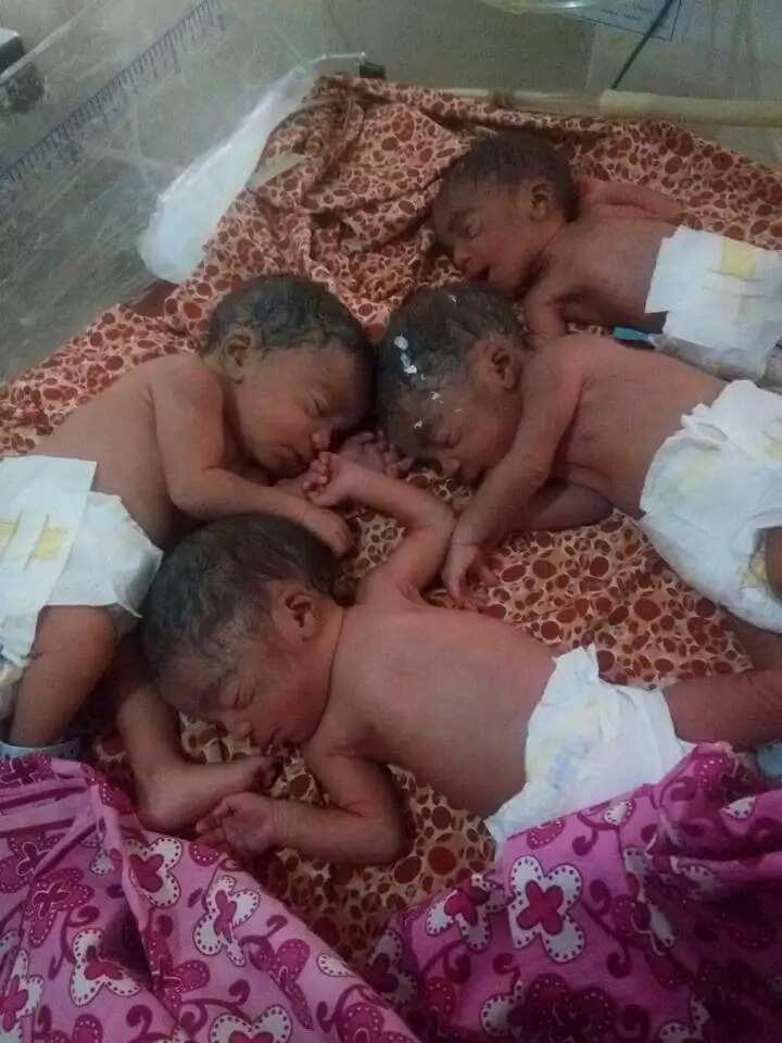 Wata mata ta haifi 'yan hudu a Katsina (Hotuna) Wata mata ta haifi 'yan hudu a Katsina (Hotuna)