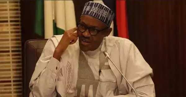 Buhari spent only N20.5m on ear infection in UK - Presidency