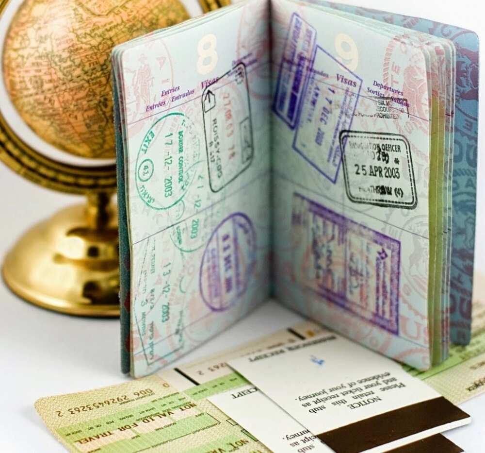 An international passport