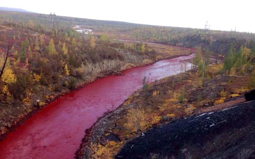 In Russia they got river of blood, like a sign of the end of time
