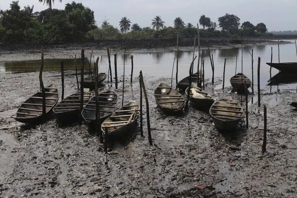 The current estimated sum to clean-up all Ogoni Land