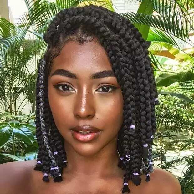 Neck Length Medium Short Box Braids : Jumbo box braids are just the ...