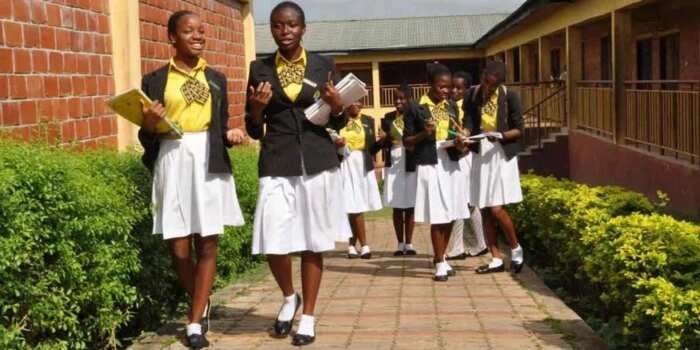 most-expensive-secondary-schools-in-ogun-state-top-3-legit-ng