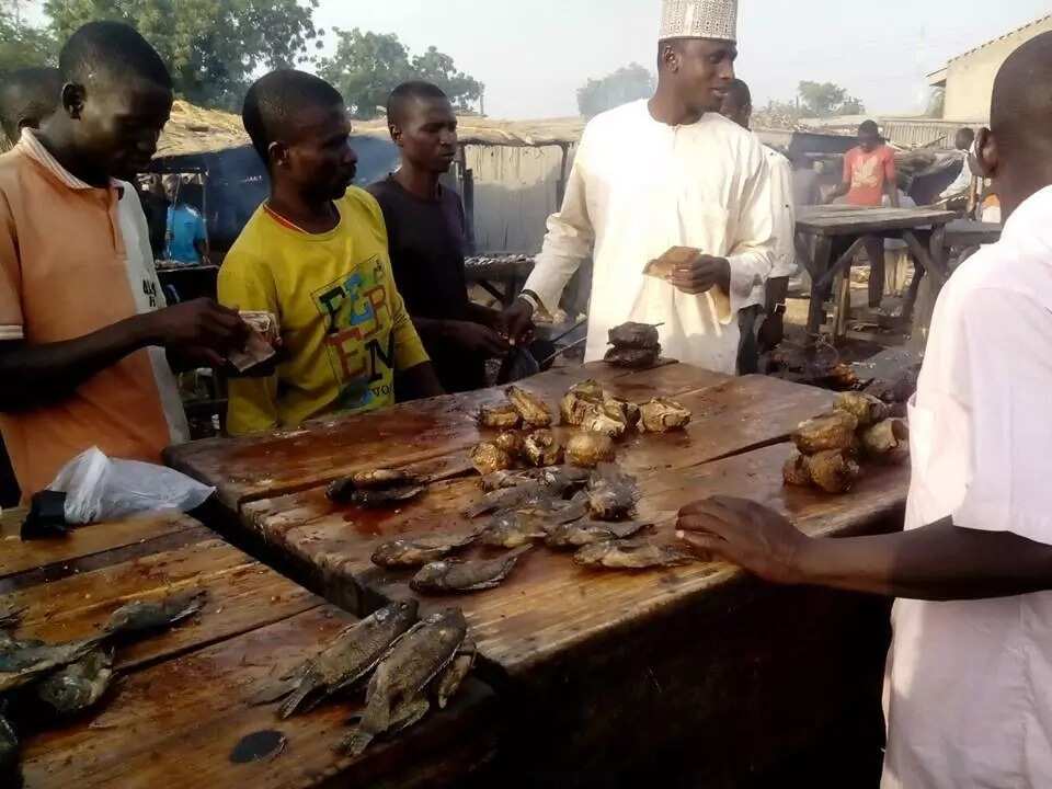 Al’amura sun daidaita a garin Baga ta jihar Borno Al’amura sun daidaita a garin Baga ta jihar Borno