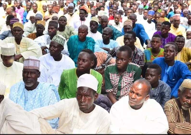 Borno enjoys peaceful Sallah after military stops bomber