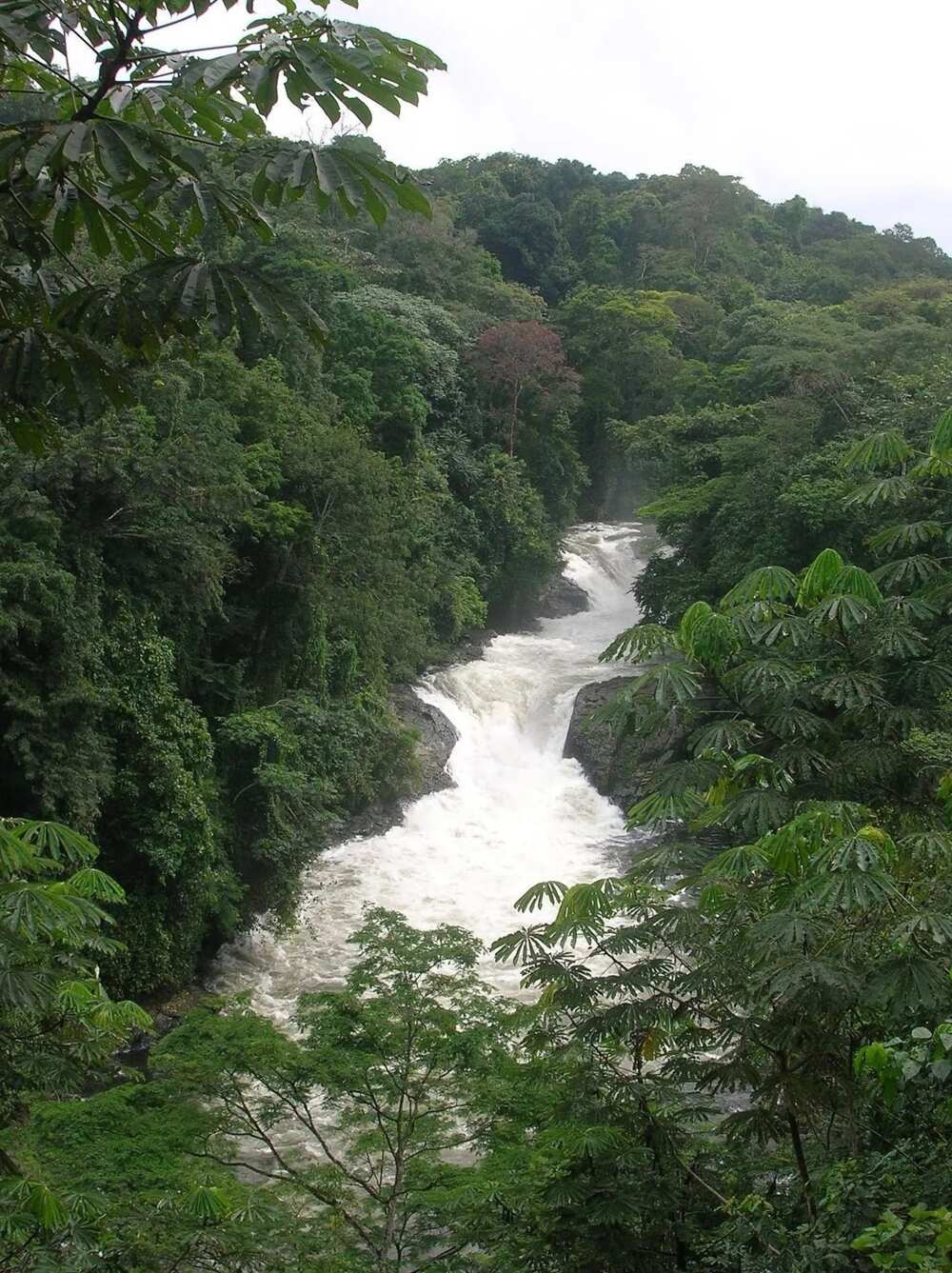 The Oban Hills in Cross River State The Oban Hills in Cross River State