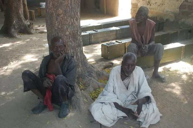 Army Kill 4 B'Haram Members, Rescue 61 Women (PHOTOS)