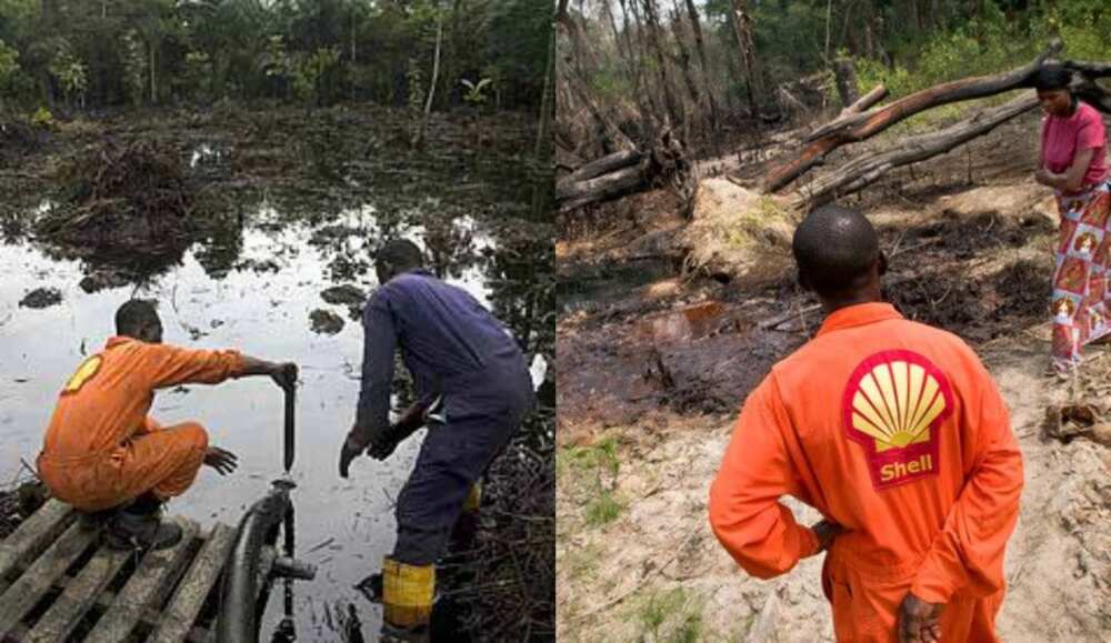 OPINION: How Shell's lies have made life unbearable to the people of Ogoniland