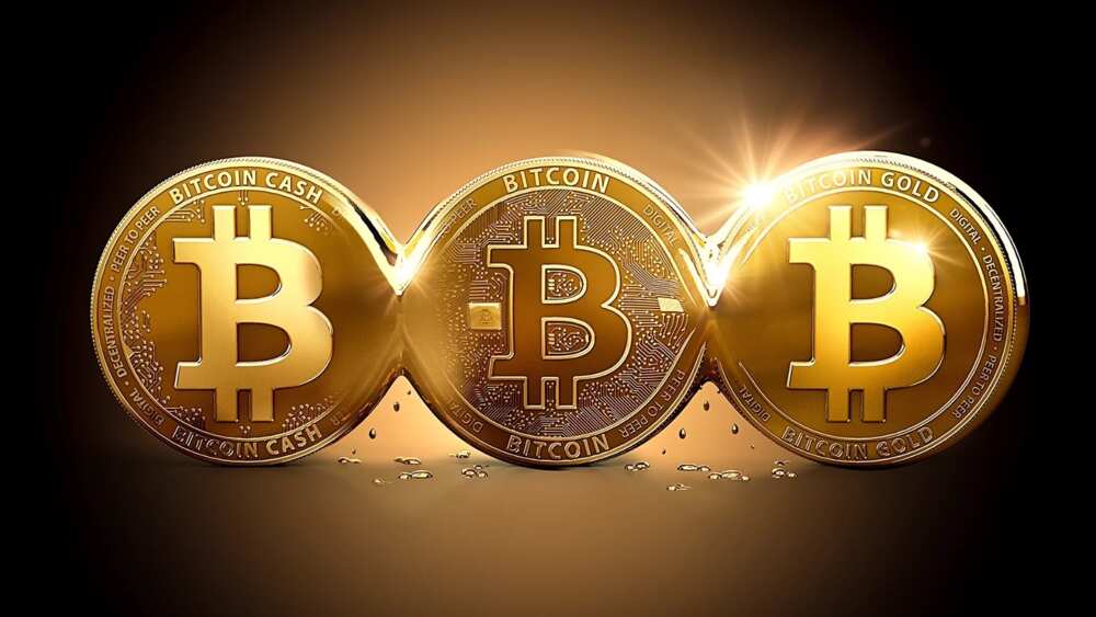How To Start Bitcoin Business In Nigeria Legit Ng