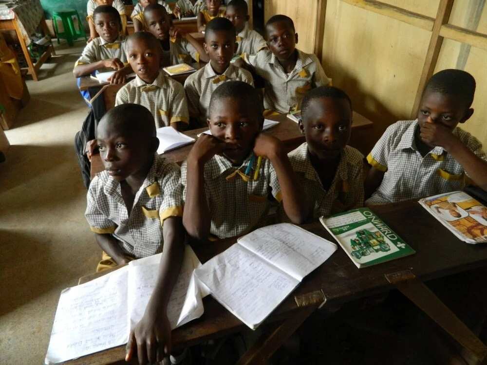 civic education schools civic education schools