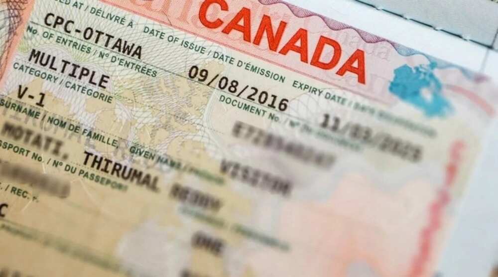 how-long-does-it-take-to-get-a-canadian-visa-in-nigeria-legit-ng