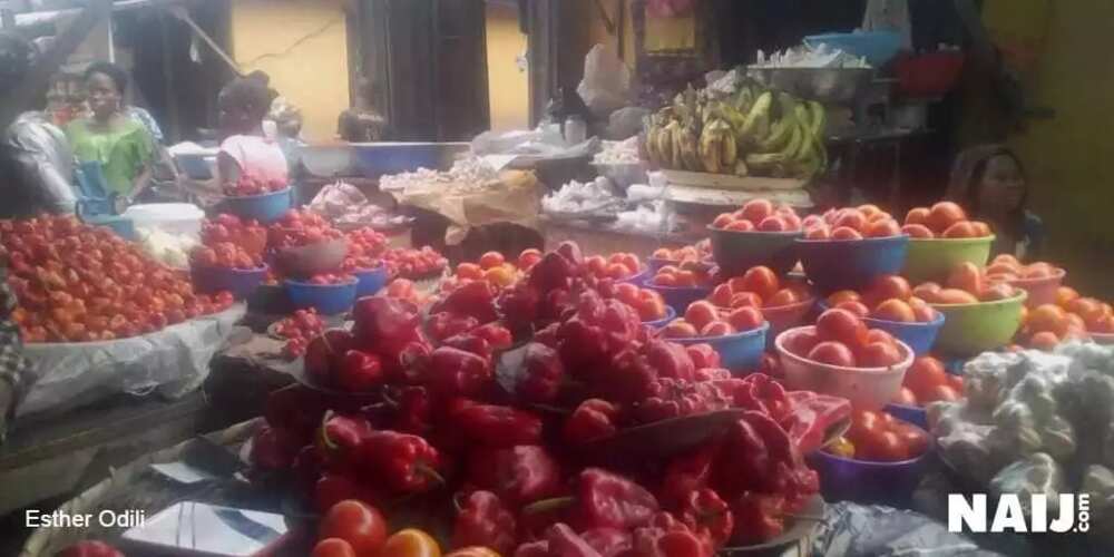 Legit.ng Weekly Price Check: As prices of goods continues to rise, traders decry low patronage Legit.ng Weekly Price Check: As prices of goods continues to rise, traders decry low patronage