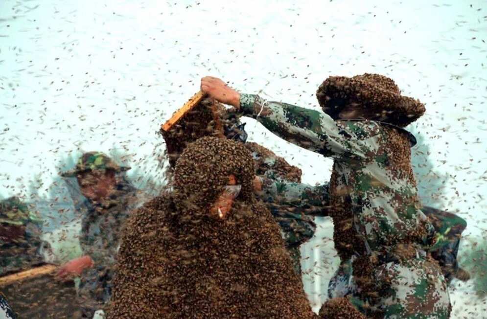 Man Covered In 100kg Of Bees Sets World Record