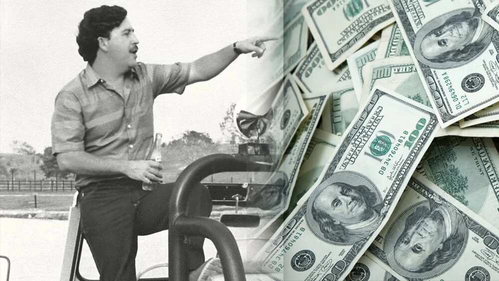 Who got Pablo Escobar money after he died? Legit.ng