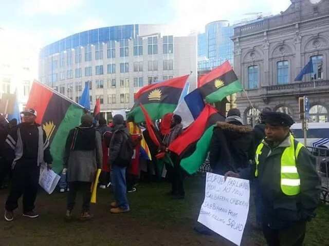 Biafrans across Europe storm EU parliament (photos/video)