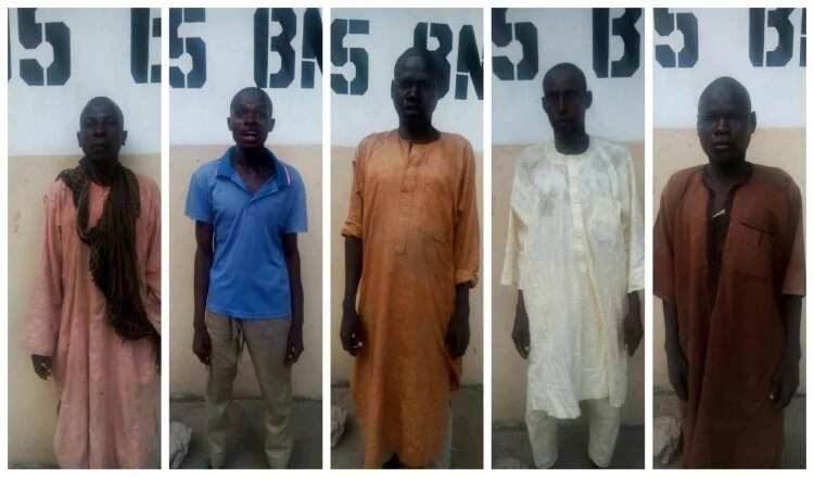 Boko Haram: Mayaka 163 sun mika wuya cikin satin nan Boko Haram: Mayaka 163 sun mika wuya cikin satin nan