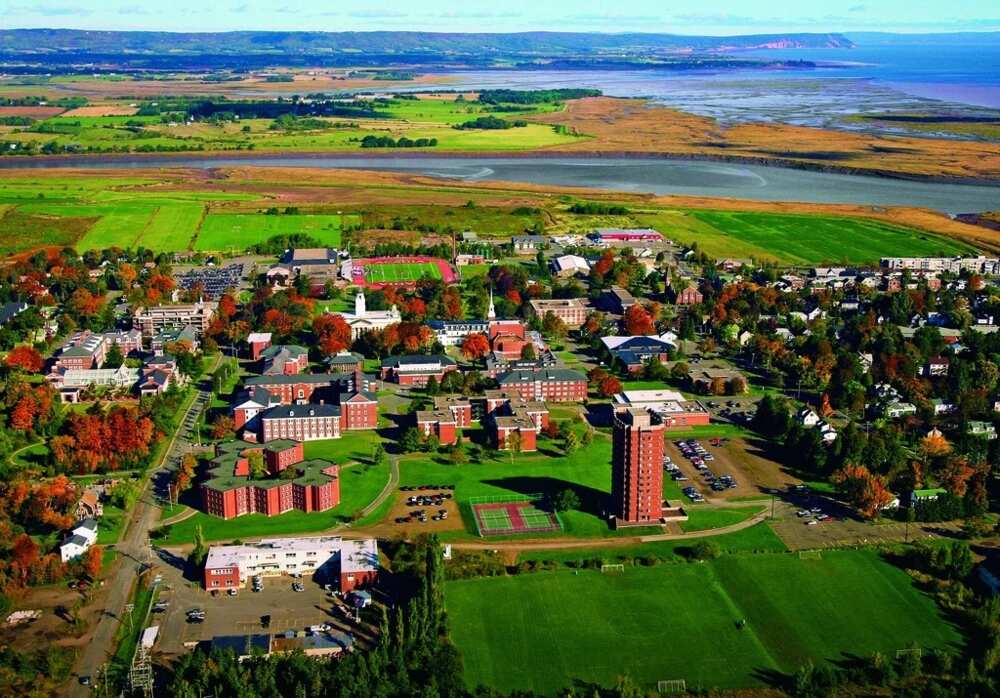 Acadia University Acadia University