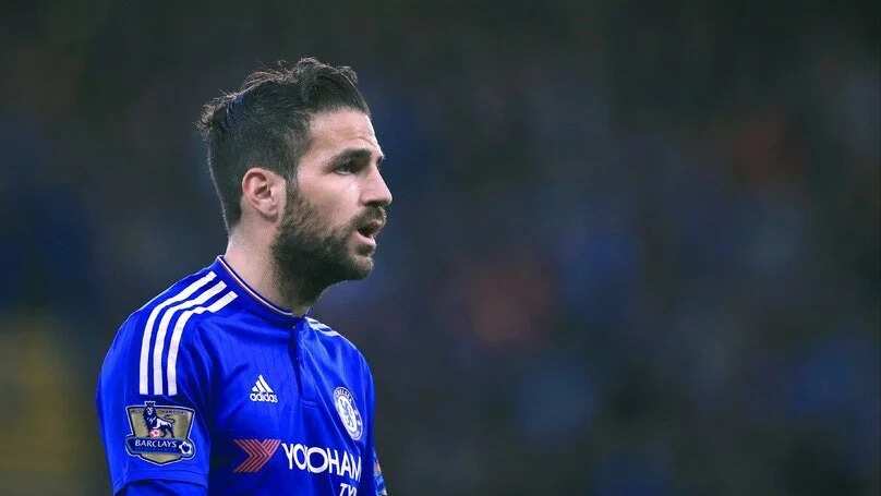 Fans hail Cesc Fabregas assist record after dominating performance against Middlesbrough
