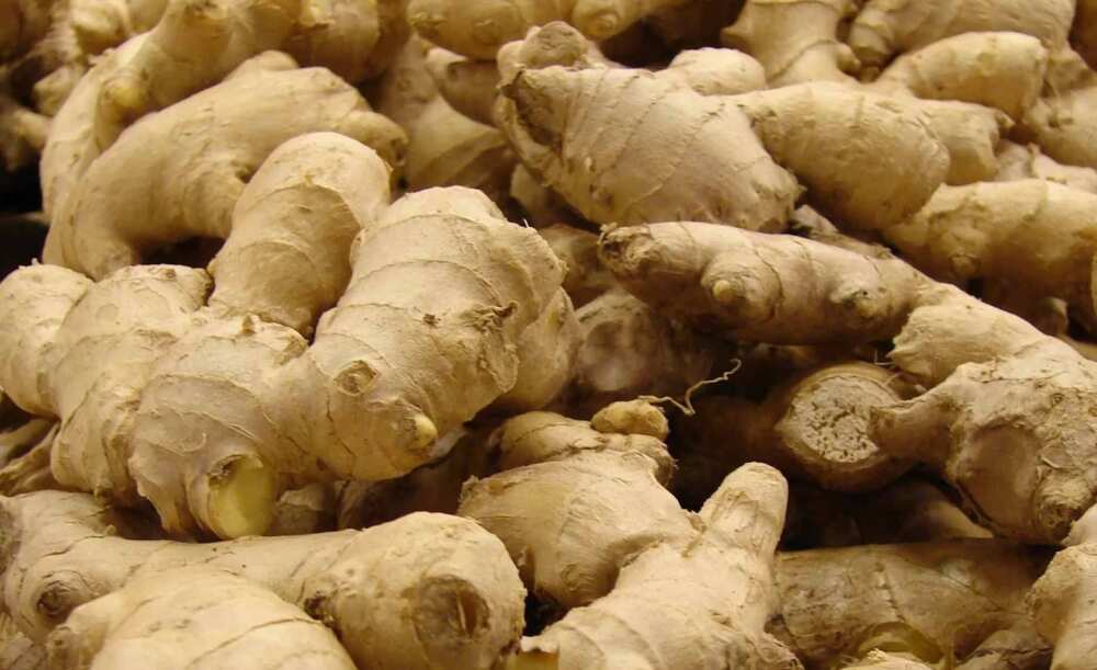 Ginger Ginger